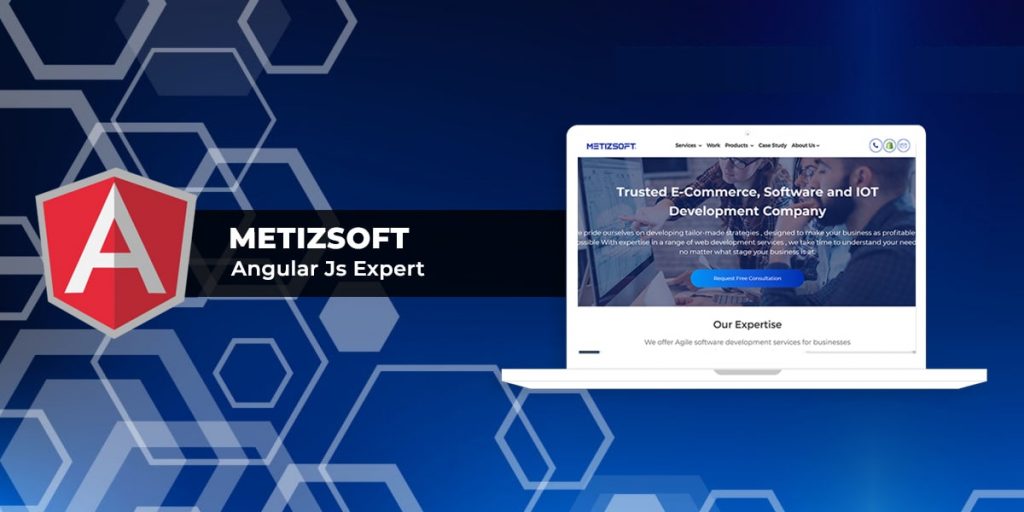 Metizsoft