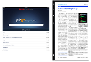 pubget